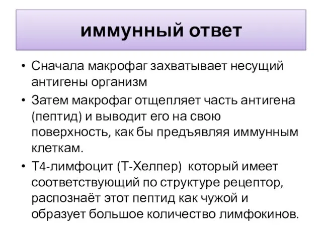 иммунный ответ Сначала макрофаг захватывает несущий антигены организм Затем макрофаг