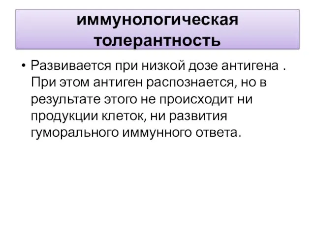 иммунологическая толерантность Развивается при низкой дозе антигена . При этом