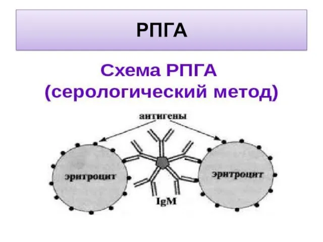 РПГА