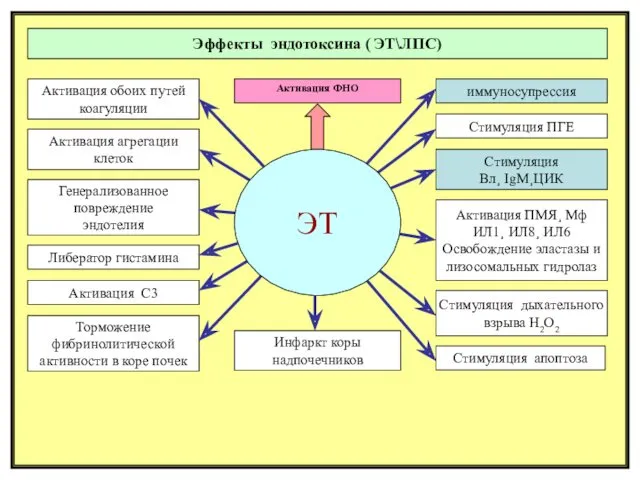 Терапия: зависит от ВИДА шока и стадии анальгетики¸ восполнение объема