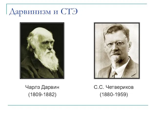 Дарвинизм и СТЭ Чарлз Дарвин (1809-1882) С.С. Четвериков (1880-1959)