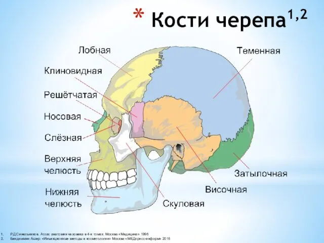 Кости черепа1,2 Р.Д.Синельников. Атлас анатомии человека в 4-х томах. Москва