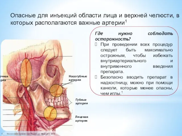 Философия профессора Редаэлли. Медпресс 2015 Опасные для инъекций области лица