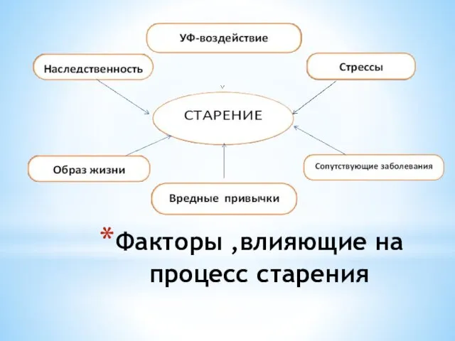 Факторы ,влияющие на процесс старения