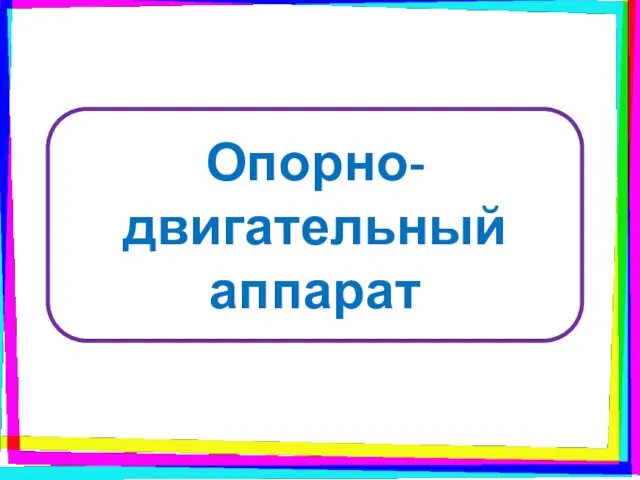 Опорно- двигательный аппарат