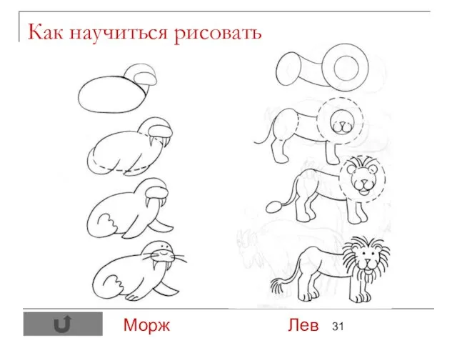 Как научиться рисовать Морж Лев