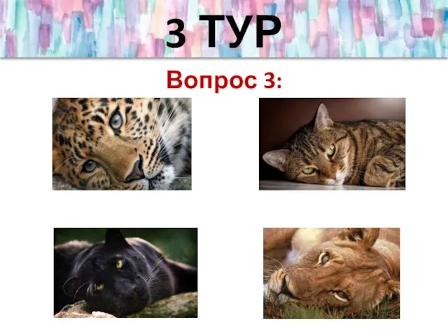 3 ТУР Вопрос 3: