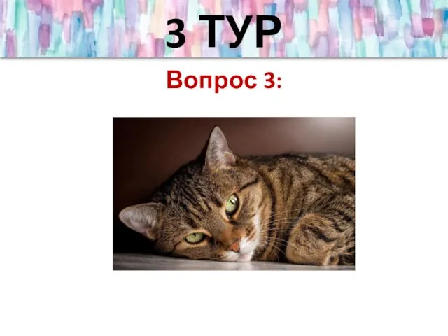 3 ТУР Вопрос 3: