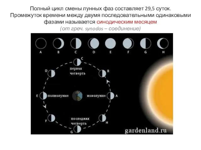 Полный цикл смены лунных фаз составляет 29,5 суток. Промежуток времени между двумя последовательными