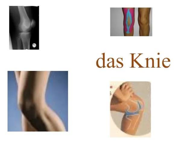 das Knie