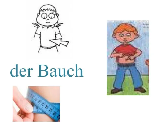 der Bauch