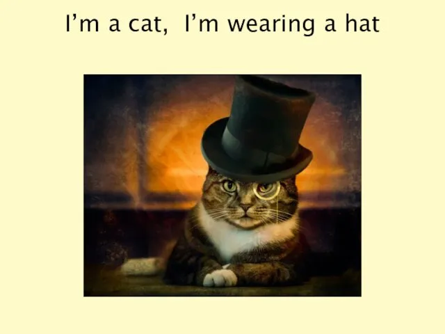 I’m a cat, I’m wearing a hat