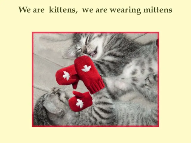 We are kittens, we are wearing mittens