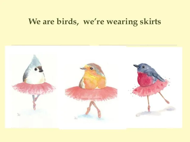 We are birds, we’re wearing skirts