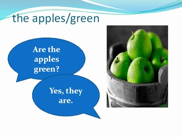 the apples/green Are the apples green? Yes, they are.