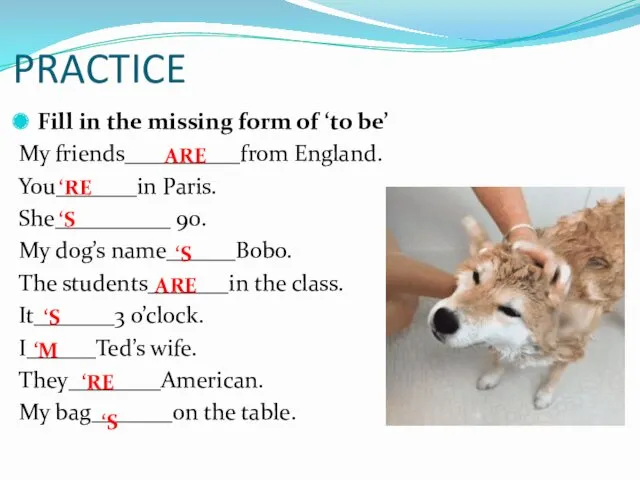 PRACTICE Fill in the missing form of ‘to be’ My friends__________from England. You_______in