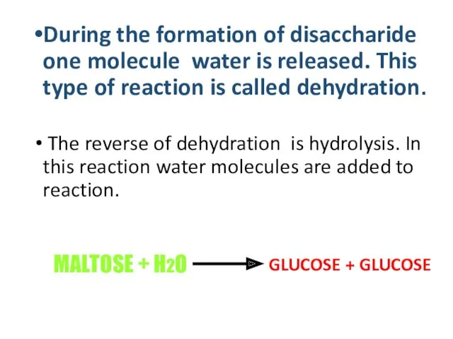 GLUCOSE + GLUCOSE During the formation of disaccharide one molecule