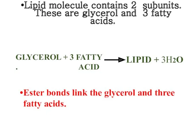 Lipid molecule contains 2 subunits. These are glycerol and 3