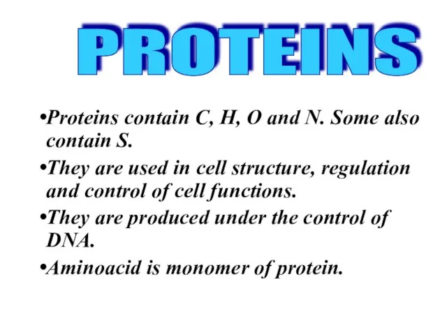 Proteins contain C, H, O and N. Some also contain