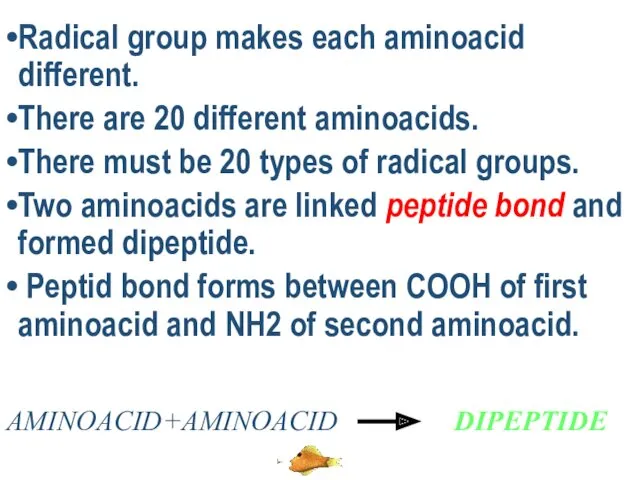 Radical group makes each aminoacid different. There are 20 different