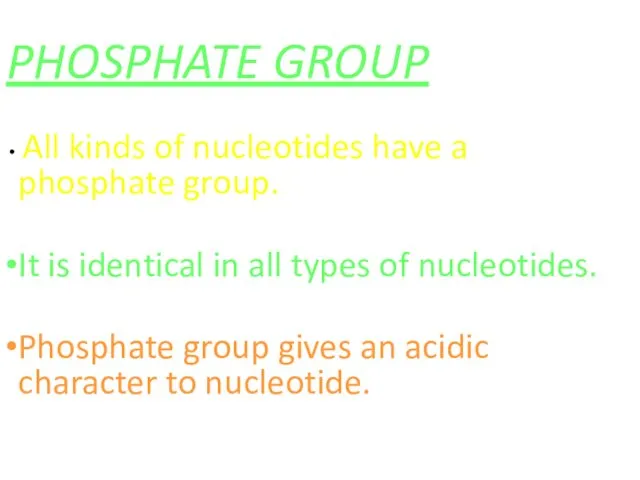 PHOSPHATE GROUP All kinds of nucleotides have a phosphate group.