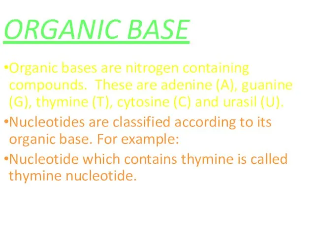 ORGANIC BASE Organic bases are nitrogen containing compounds. These are