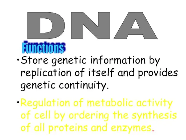 DNA Functıons Store genetic information by replication of itself and