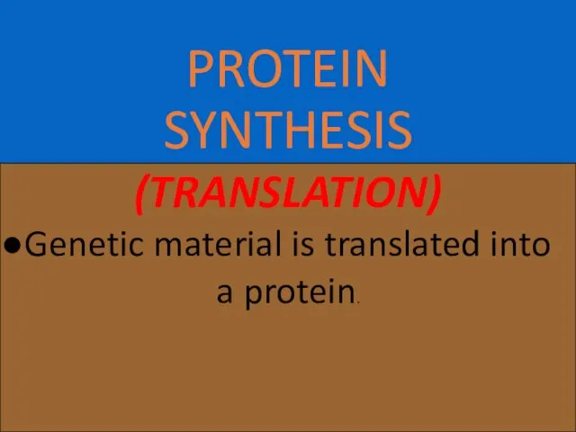 PROTEIN SYNTHESIS (TRANSLATION) Genetic material is translated into a protein.