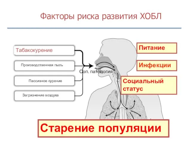 Факторы риска развития ХОБЛ Питание Инфекции Социальный статус Старение популяции