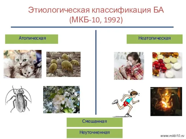 Этиологическая классификация БА (МКБ-10, 1992) Атопическая www.mkb10.ru Смешанная Неатопическая Неуточненная