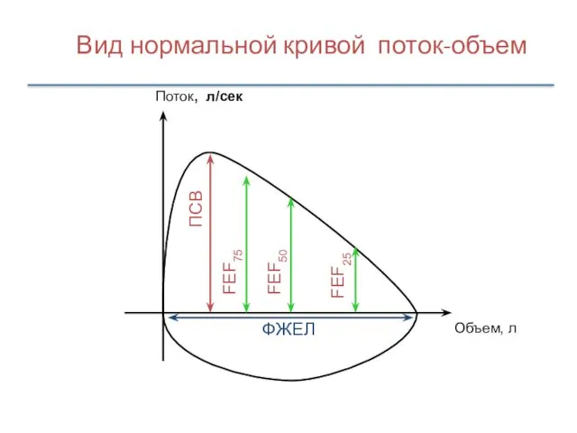 Вид нормальной кривой поток-объем ПСВ ФЖЕЛ FEF25 FEF50 Объем, л Поток, л/сек FEF75