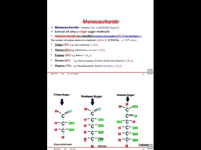 BIOLOGY 2019 Dr. Amin Al-Doaiss Monosaccharide : (mono, one; saccharide,