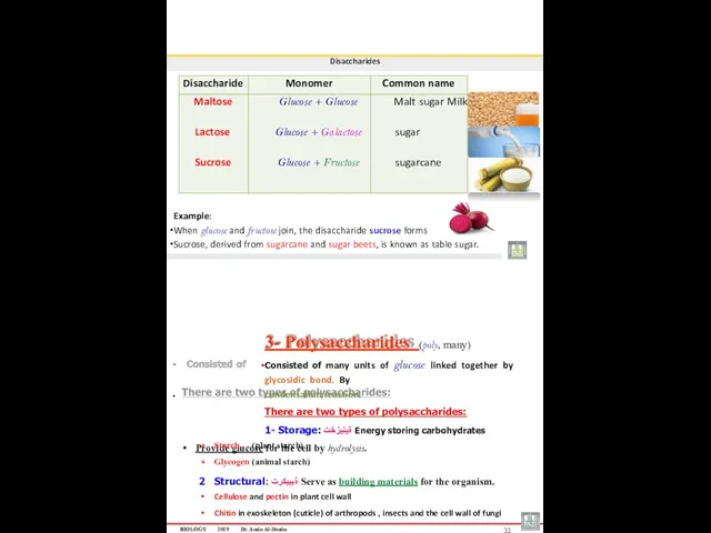 Disaccharides Example: When glucose and fructose join, the disaccharide sucrose