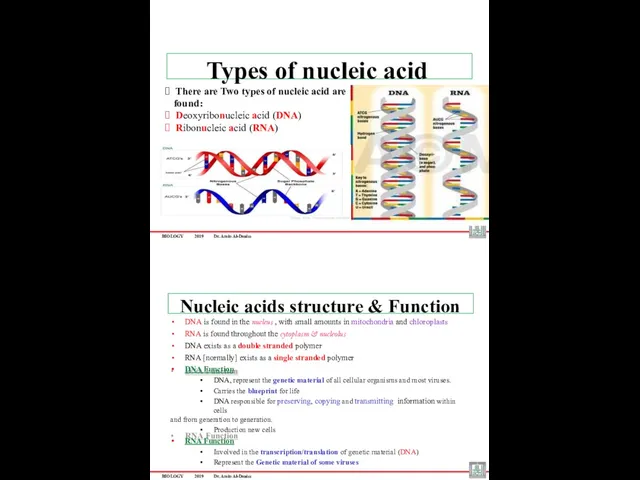 BIOLOGY 2019 Dr. Amin Al-Doaiss ? There are Two types