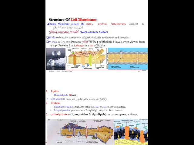 BIOLOGY 2019 Dr. Amin Al-Doaiss Structure Of Cell Membrane: Plasma