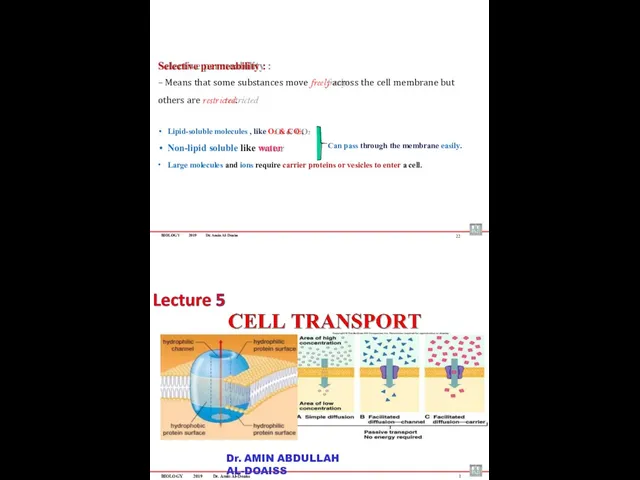BIOLOGY 2019 Dr. Amin Al-Doaiss Selective permeability : – Means