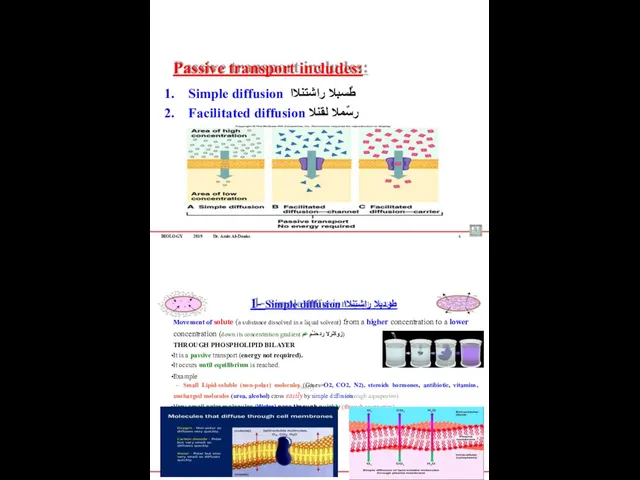 BIOLOGY 2019 Dr. Amin Al-Doaiss Passive transport includes: Simple diffusion