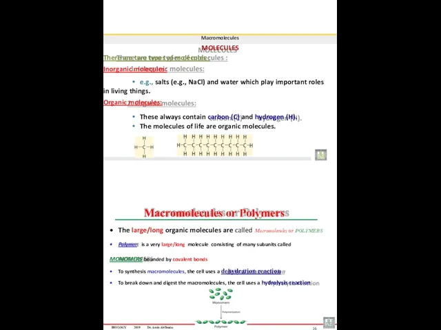 Macromolecules MOLECULES There are two types of molecules : Inorganic