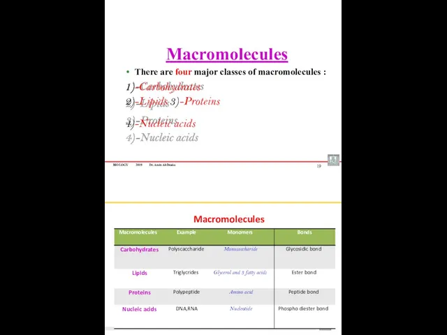 BIOLOGY 2019 Dr. Amin Al-Doaiss Macromolecules There are four major