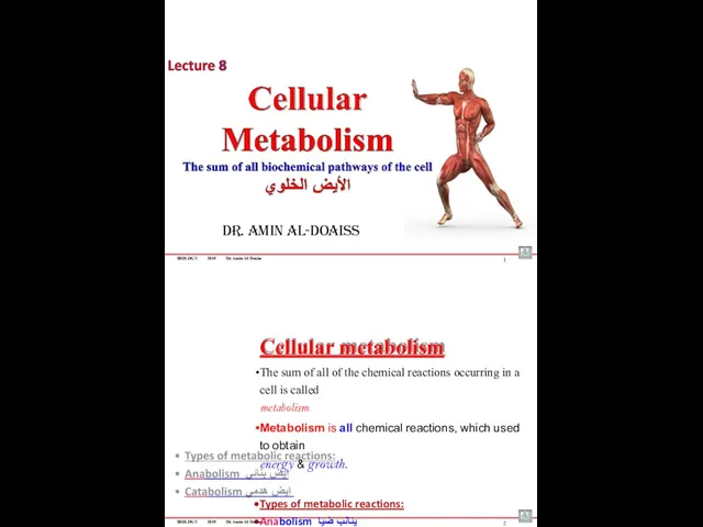 BIOLOGY 2019 Dr. Amin Al-Doaiss Dr. Amin Al-Doaiss 1 Cellular