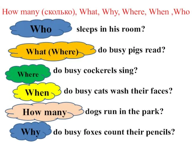 How many (сколько), What, Why, Where, When ,Who … sleeps