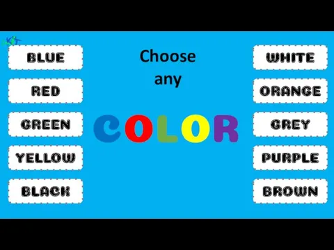 BLUE RED COLOR GREEN YELLOW BLACK WHITE ORANGE GREY PURPLE BROWN Choose any