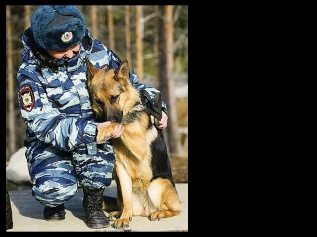 Russian police reform is an ongoing effort initiated by former
