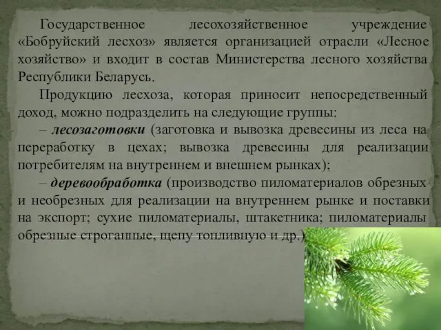 Государственное лесохозяйственное учреждение «Бобруйский лесхоз» является организацией отрасли «Лесное хозяйство»