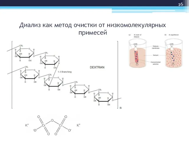 Диализ как метод очистки от низкомолекулярных примесей