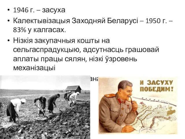 1946 г. – засуха Калектывізацыя Заходняй Беларусі – 1950 г.