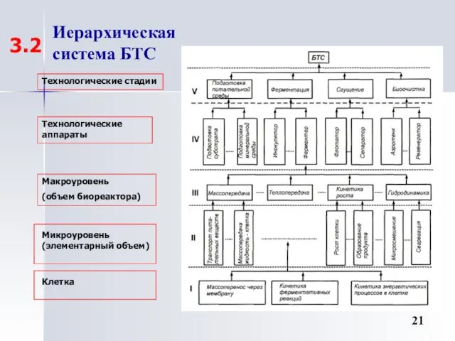 Иерархическая система БТС Клетка Микроуровень (элементарный объем) Макроуровень (объем биореактора) Технологические аппараты Технологические стадии 3.2