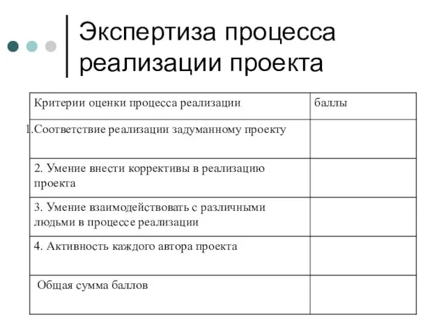 Экспертиза процесса реализации проекта