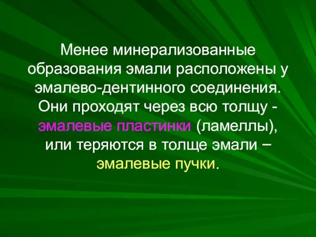 Менее минерализованные образования эмали расположены у эмалево-дентинного соединения. Они проходят