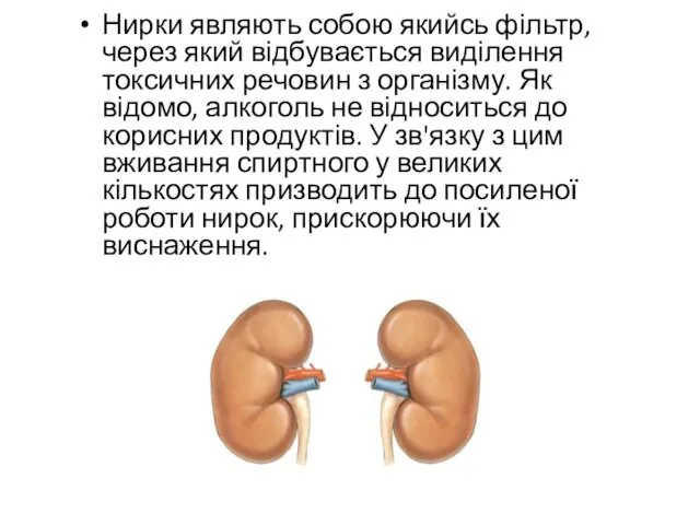 Нирки являють собою якийсь фільтр, через який відбувається виділення токсичних речовин з організму.